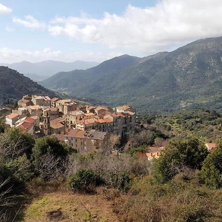 Casa Corsa Villa Santa-Lucia-di-Tallano Luaran gambar